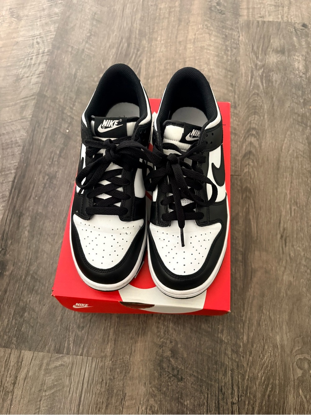 Nike Black and White Dunk-Style Low Top Sneakers